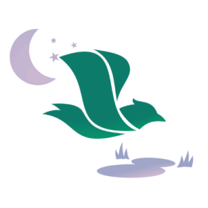 Une nuit près du lac la Chevroliere